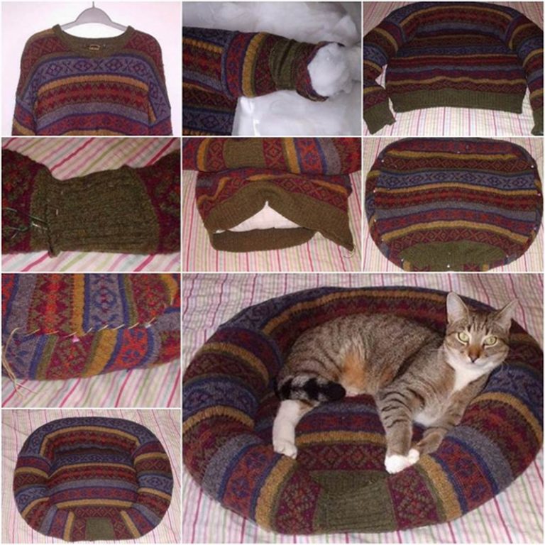 Корзинка для кота своими руками Корзинка для кота своими руками