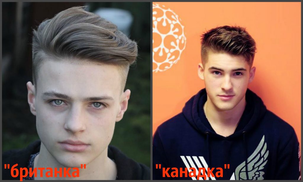Стрижка канадка и британка Стрижка канадка и британка
