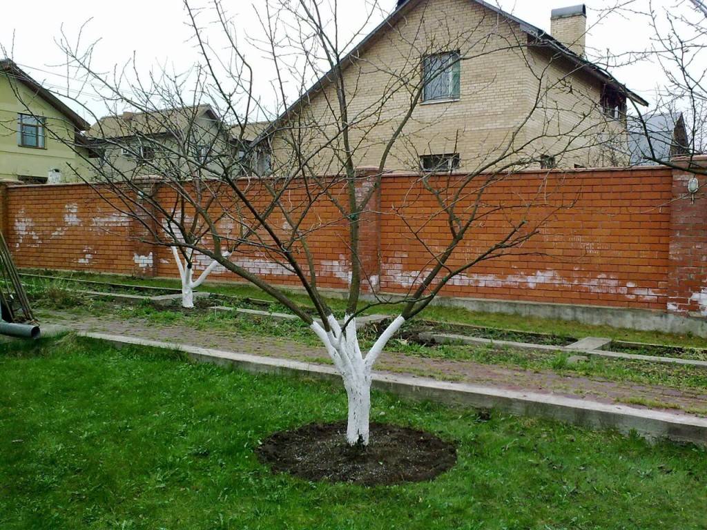 Надписи - Татуировки и их Коррекция нарушений психологического здоровья дошкольников