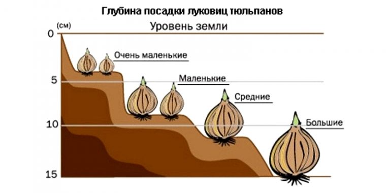 Диск своими руками мальчику 24