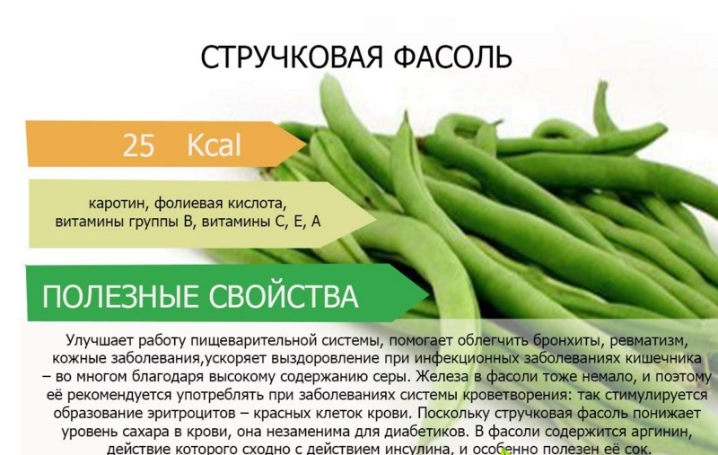 Полезный состав и свойства стручковой фасоли Полезный состав и свойства стручковой фасоли