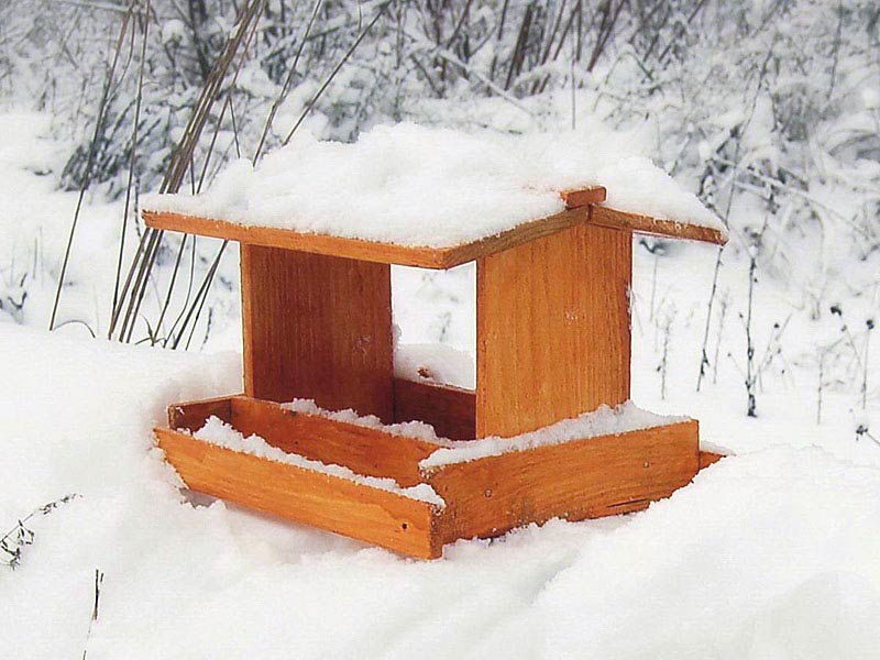 Из пластика кормушки для птиц 110