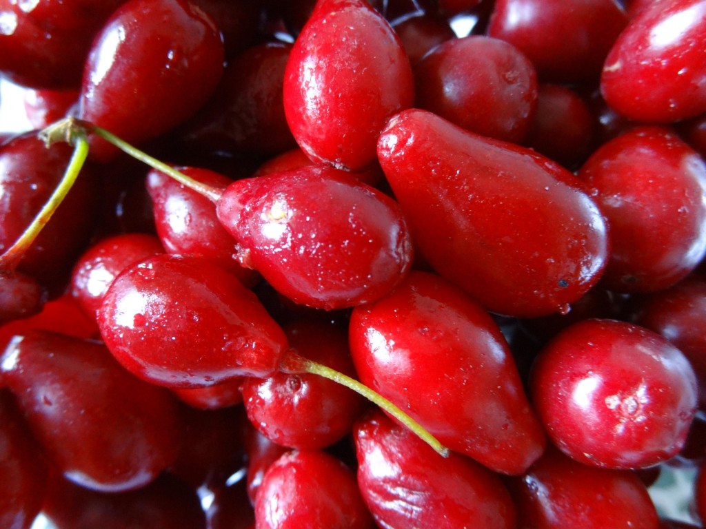 Ягоды кизила Ягоды кизила