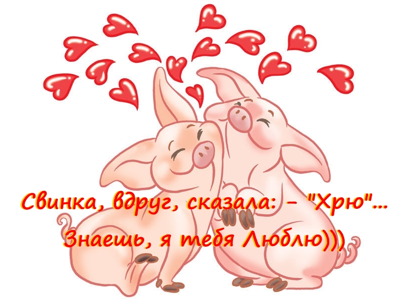 Смс с символом Года к 14 февраля