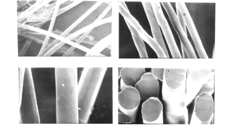 Микрофотографии поверхности и поперечного сечения волокна лиоцелл