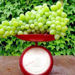 Описание некоторых из существующих сортов винограда для выращивания и виноделия