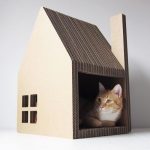 Интересные и нестандартные варианты домика для кошки