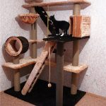 Интересные и нестандартные варианты домика для кошки