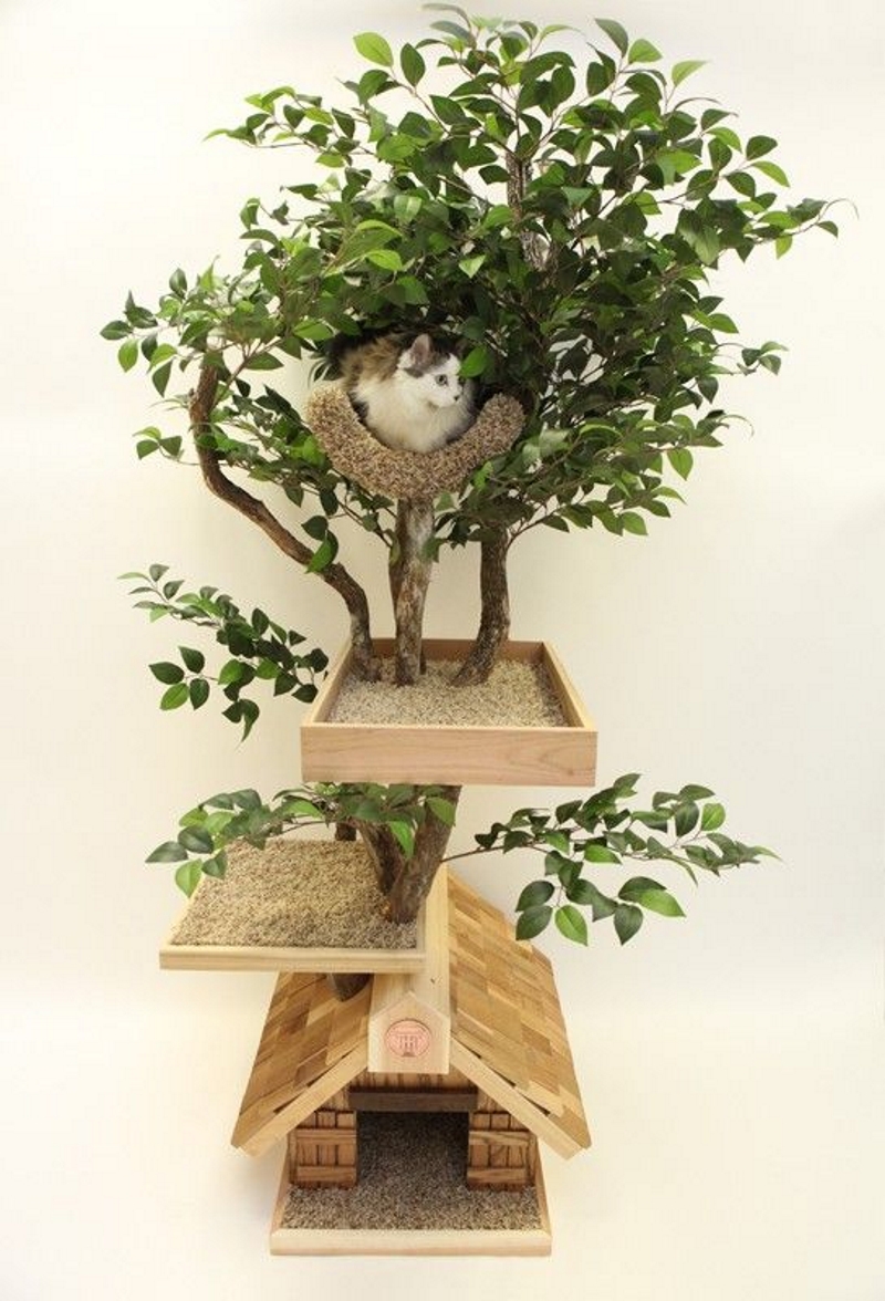 Домик — дерево для кошек