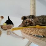 Фото 64: Кошачие лежанки и лабиринт под потолком