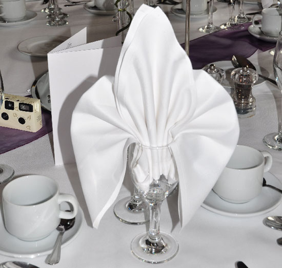 Busy_Bee_Linen_Napkins
