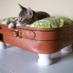 Фото 73: Лежанка для кошки из чемодана