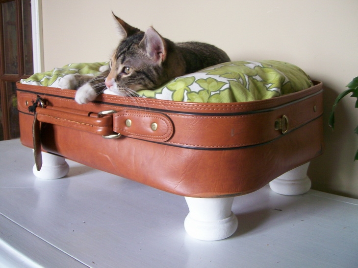 Лежанка для кошки из чемодана