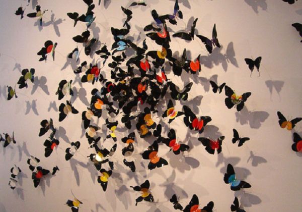 рой бабочек на стене