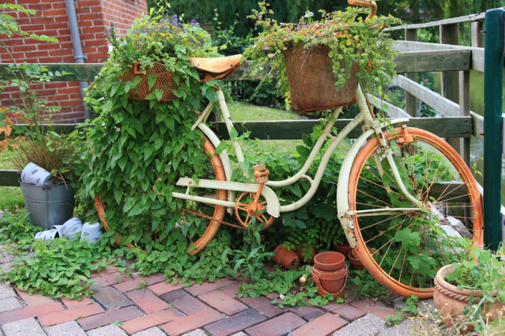 Использование старого велосипеда как цветника