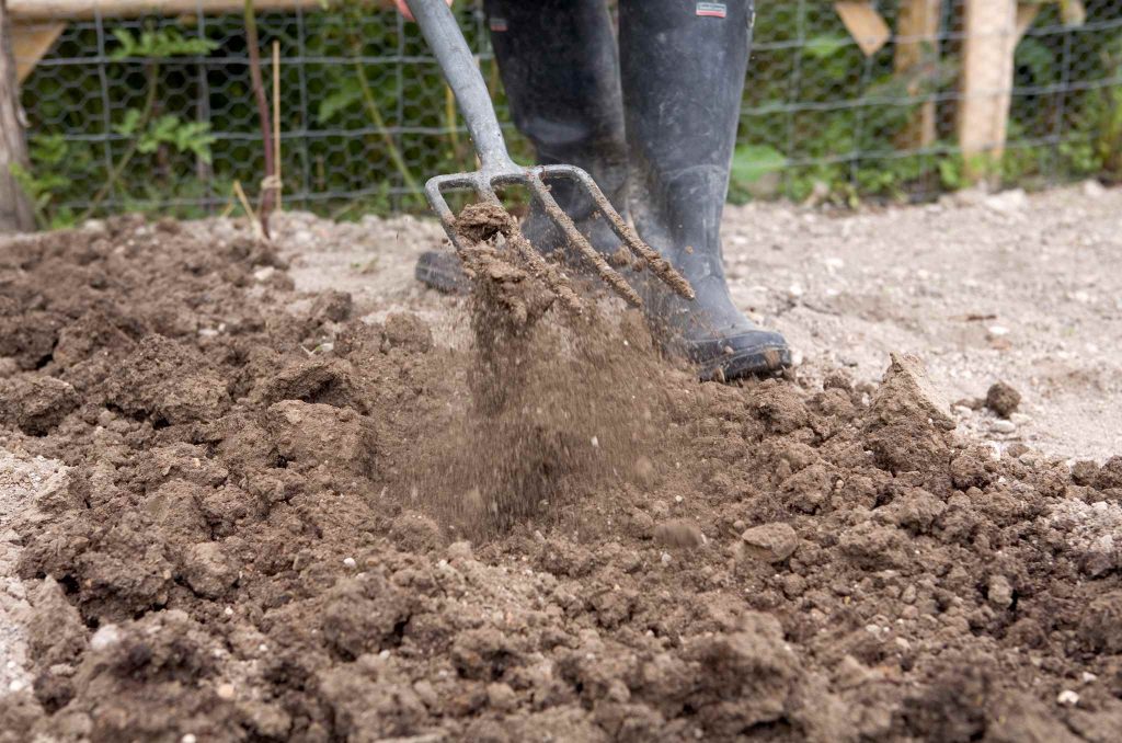Рыхление почвы перед посадкой лука–порея