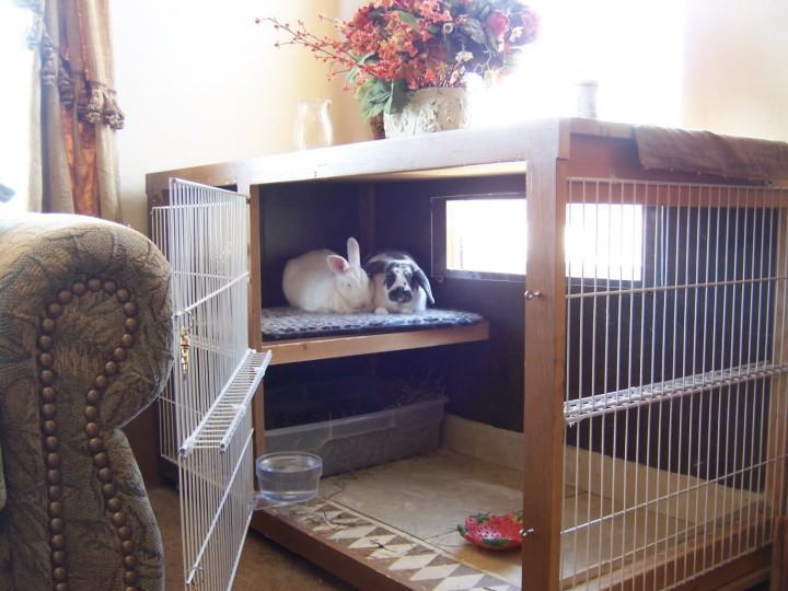 Клетка для содержания кроликов в помещении 