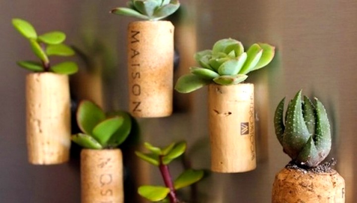 Мини-сад на холодильнике (2)