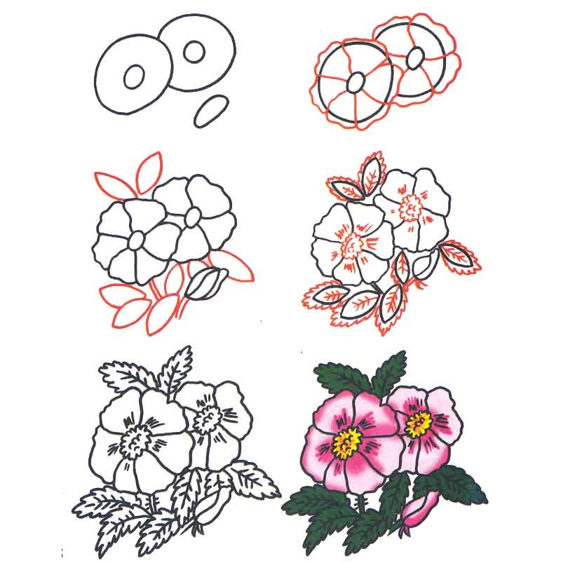 Рисование цветка своими руками