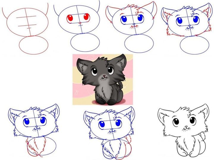 Этапы рисования котенка