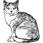 Фото 16: Готовый рисунок сидячей кошки
