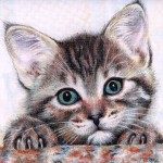 Фото 27: Использование цветных карандашей для рисования кошек
