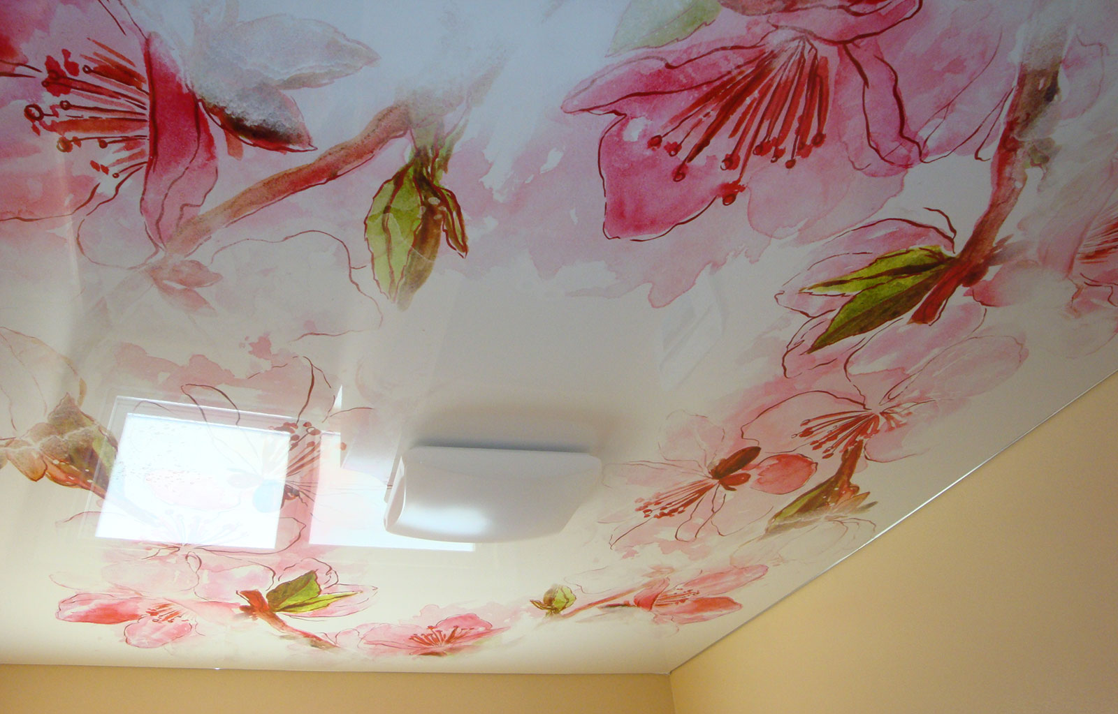 Натяжной потолок цветной с рисунками фото