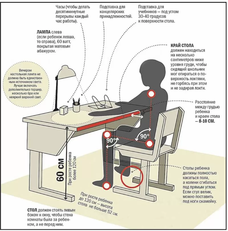 На каком уровне должен быть стол для ребенка