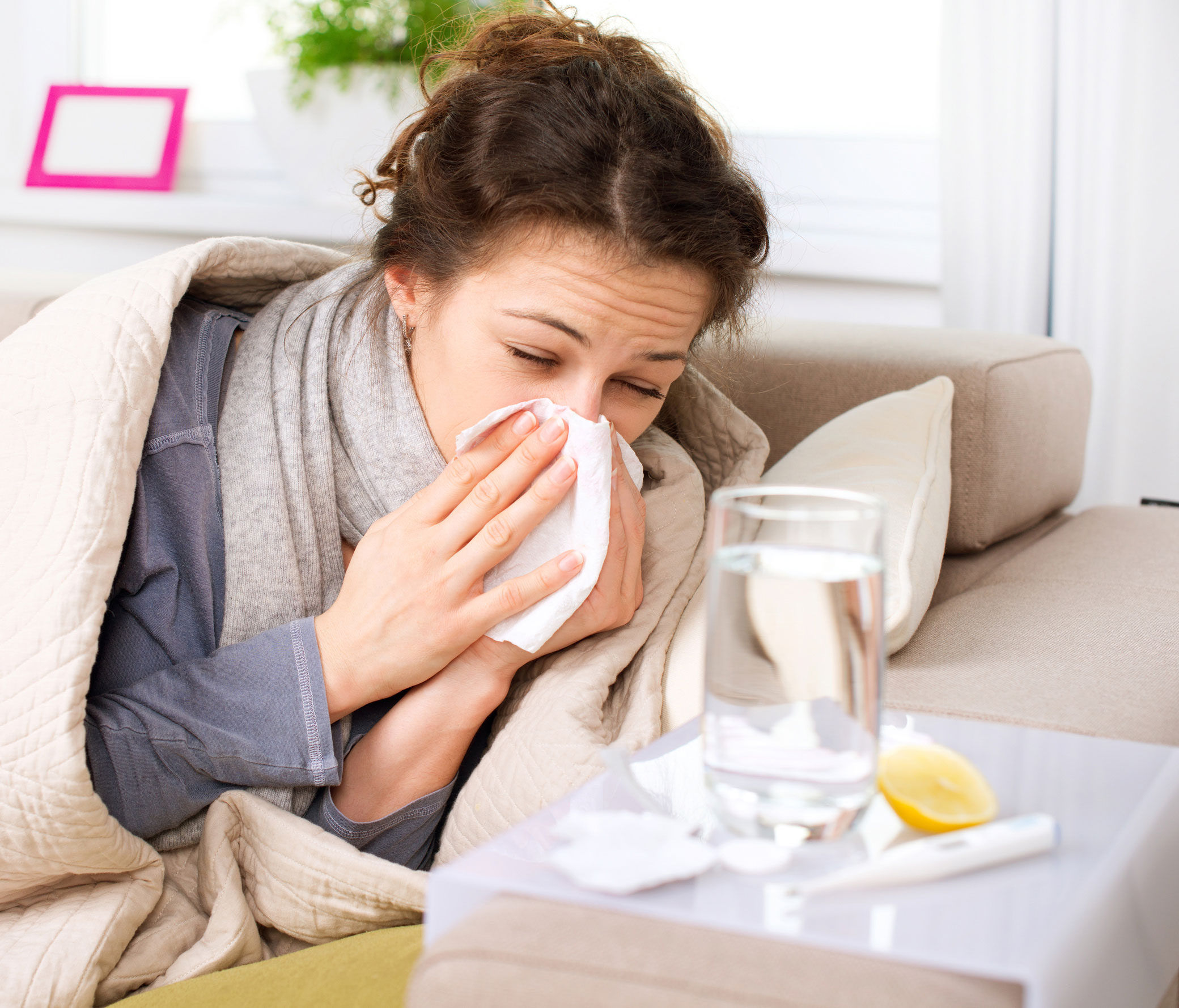 Настойка эхинацеи при простудных заболеваниях