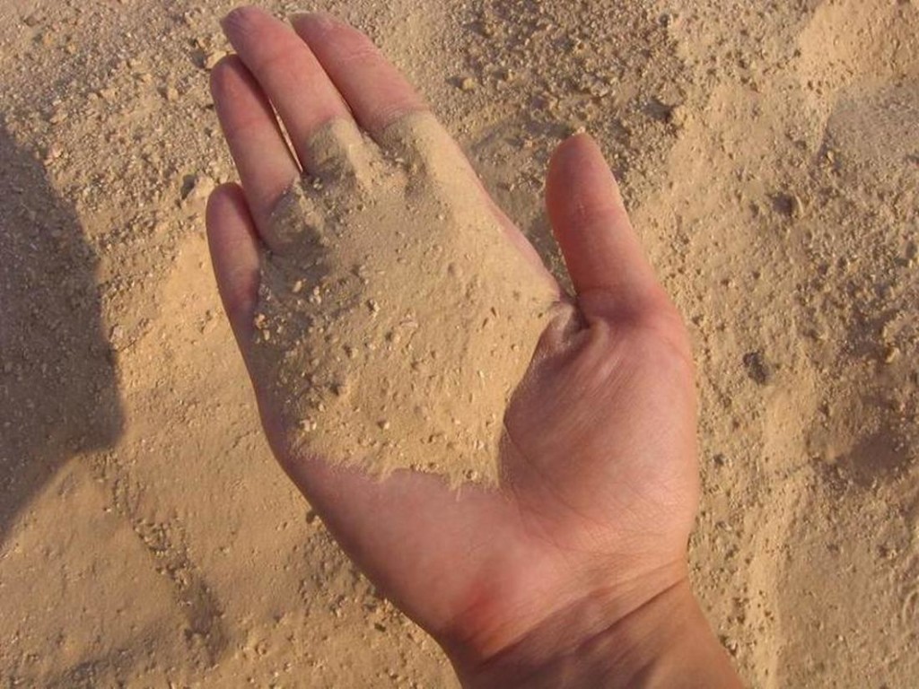 Мех бобра чистят при помощи сухого горячего песка