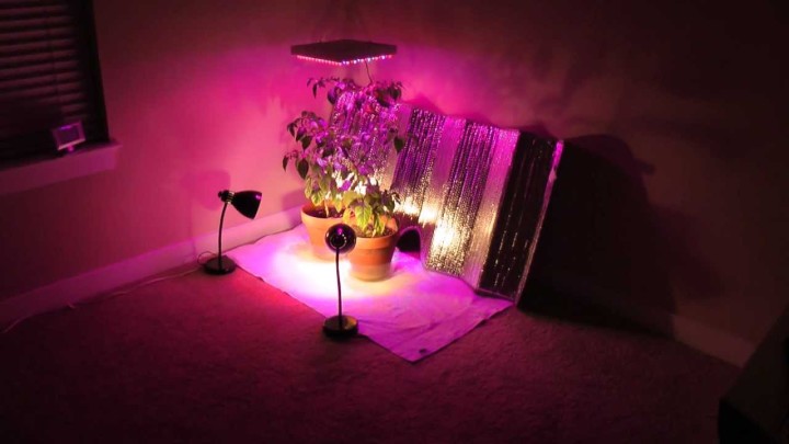 лампы для освещения растений