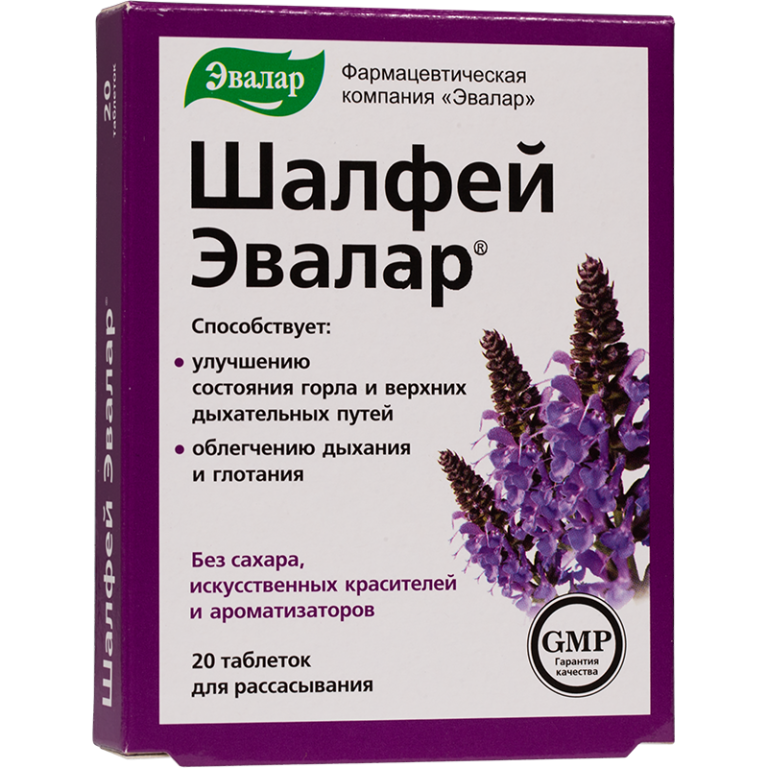 Шалфей лекарственный и другие виды шалфея