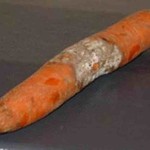 Фото 24: Порча моркови