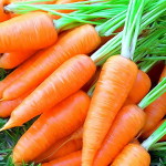 Фото 3: Морковь