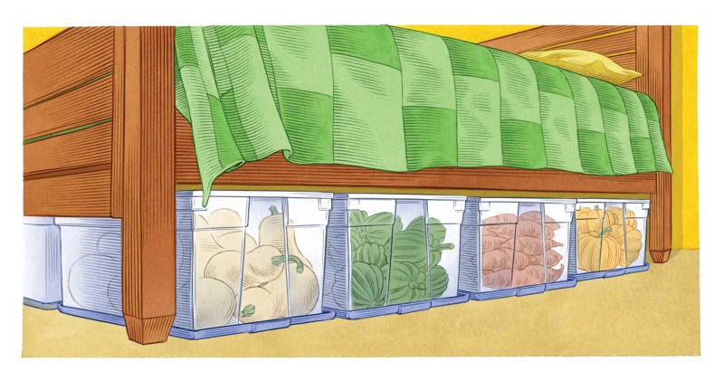 Фото 27: Хранение овощей в пластиковых контейнерах