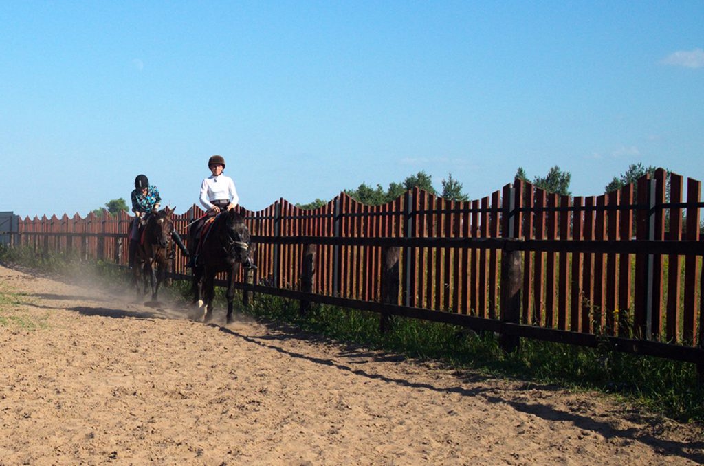 конно-спортивный комплекс Три жеребенка