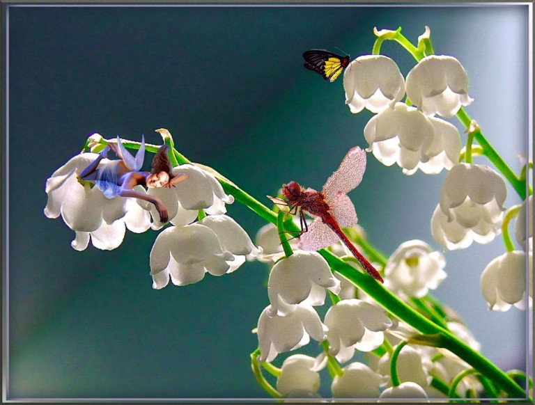 Фото 5: 