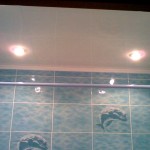 Фото 11: Пластиковые потолки в ванной (3)