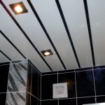 Фото 14: Пластиковые потолки в ванной (6)