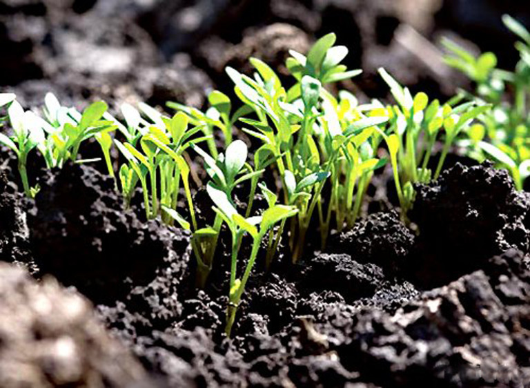 Фото 59: 