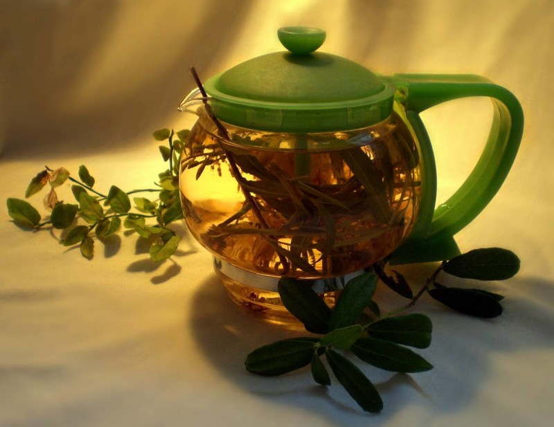 Фото 30: Чай с аралией