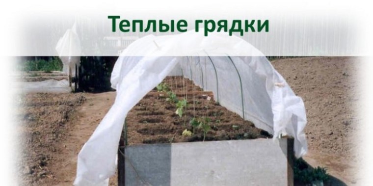Фото 23: Теплые грядки