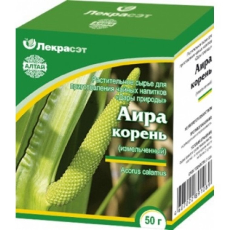 Корень аира фото