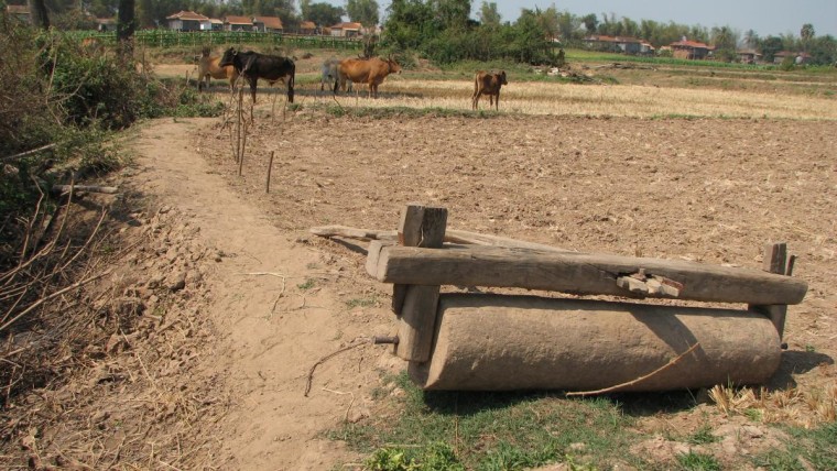 Что нужно знать для успешного ведения сельского хозяйства