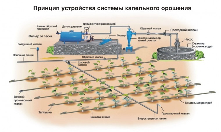 Проект капельного полива пример проекта