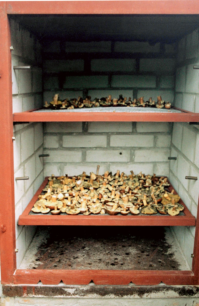 Коптильня для грибов