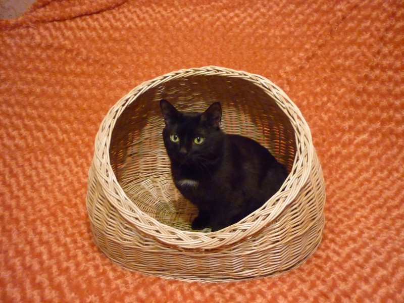 Домик для кошек из ротанга