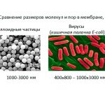 Фото 24: Размер пор керамического фильтра в сравнении с бактериями