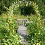 Фото 27: Пергола - арка в саду