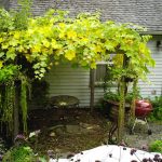 Фото 119: Самодельная пергола под дикий виноград